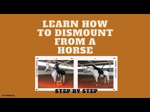 How to Get Off or Dismount From a Horse