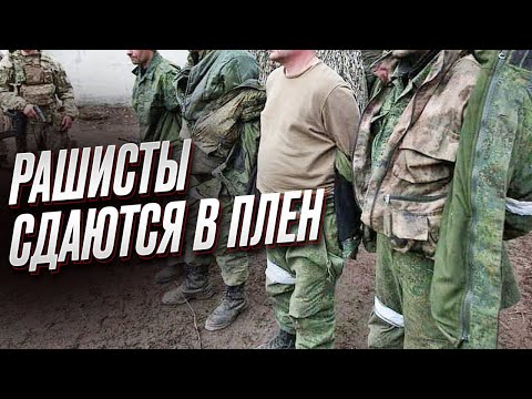 Россияне массово бегут с фронта и сдаются в плен!