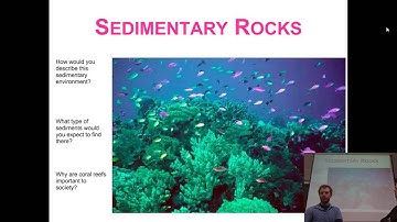 Sedimentary environments video 1