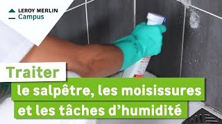 Comment traiter le salpêtre, les moisissures et les taches d'humidité ?