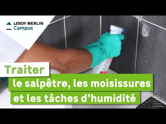 Comment traiter le salpêtre, les moisissures et les taches d'humidité ?  Leroy Merlin 