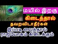 மயில் இறகு கிடைத்தால் இப்படி வைத்துப்பாருங்கள் - Siththarkal Manthiram