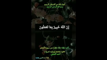 #يَا أَيُّهَا الَّذِينَ آمَنُوا اتَّقُوا اللَّهَ وَلْتَنْظُرْ نَفْسٌ مَاقَدَّمَتْ لِغَدٍ🌴سورة #الحشر