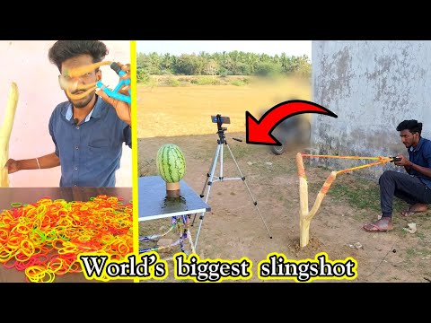 World's biggest slingshot making 🙄 Using Rubber band  #shorts