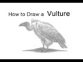 How to Draw a Vulture