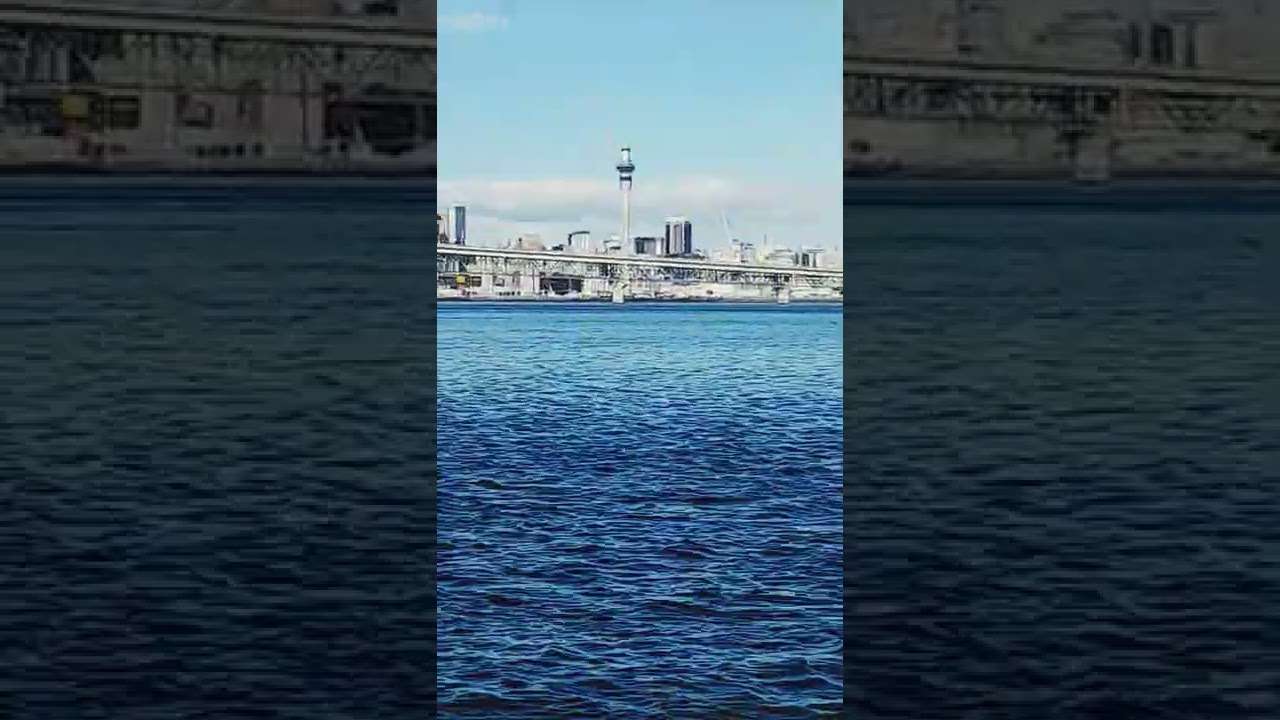 Westhaven Promenade/Marina and Auckland Sky Tower, New Zealand, as viewed from Birkenhead Wharf