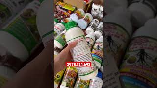AB ROOT ,SIÊU KÍCH RỄ,BUNG TÀN,MẬP THÂN.lh 0978.314.693