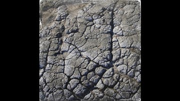 Earth Quaker CM 141bpm sample by @poolooloop