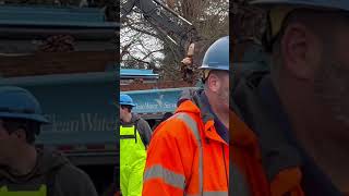 Fall Leaf Drop Off Part 2