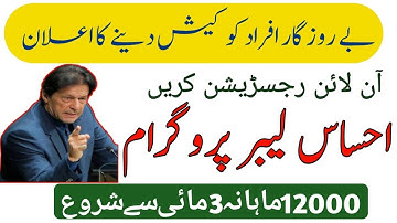 How To Apply For Ehsaas Labour Program | Chota Karobar Online Registration 2020 |Pm Web Portal