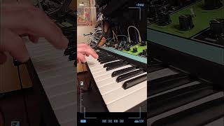 New Moog Synth??? But Im Still In Love With My Grandmother