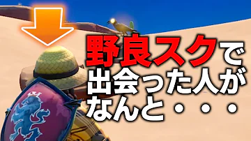 スクワッドに 25万人配信者 はむっぴ がいたら野良はどんな行動するか検証 フォートナイト Fortnite Mp3