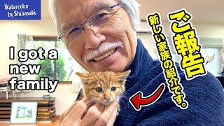【ご報告】皆さんに嬉しいお知らせがあります。/ 新しい家族が増えました / 仔猫 / 保護猫