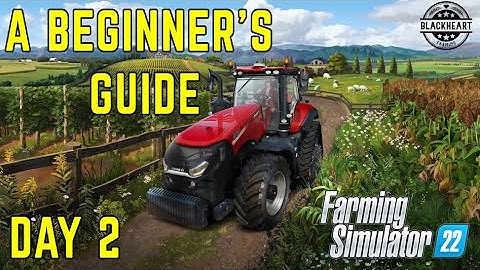 Day 2 | Weeding and Fertilizing | A Beginner