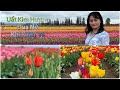 Tulips Farm 2019-Cánh Đồng Hoa Uất Kim Hương -Family Phiêu Lưu-Travel Oregon - Vlog 1