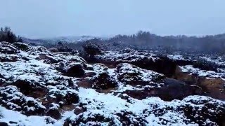 Serra do Alvão, Vila Real