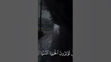 القرآن الكريم #اكسبلور #المصحف #لايك #الرحمن #ترند #القزابري #راحة_نفسية #الظروف #تصويري #العظماء