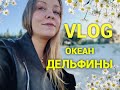 Vlog. Невероятная природа Сиднея. Готовлю ужин👌