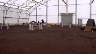 Heist Steeplechase Finals Hog Dog Nov 2013 1st Place screenshot 3