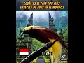 Cuál es el país con más especies de aves del mundo 🌍😍🦜🐦⬛