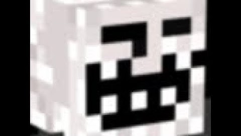 emp and sks just take over 2b2tpvp.net