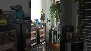 Inside Your Place LLC Osceola Wisconsin 7/1/2023