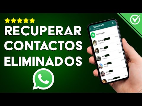 Cómo Recuperar mis Contactos Eliminados de WhatsApp en mi Celular Android o iPhone