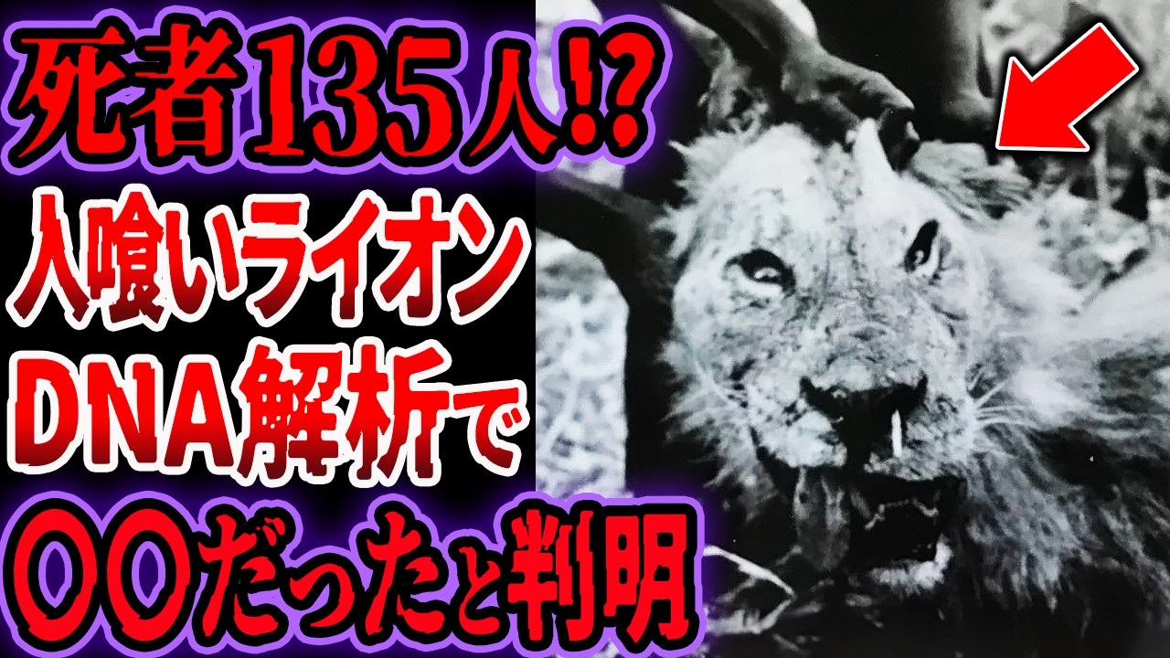１３５人を嚙み殺した人喰いライオン…実際の歯を最新DNA解析した結果、ヤバい事実が判明【ゆっくり解説】