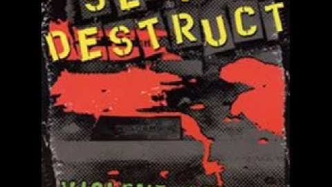 Self Destruct - Vicious Cycle