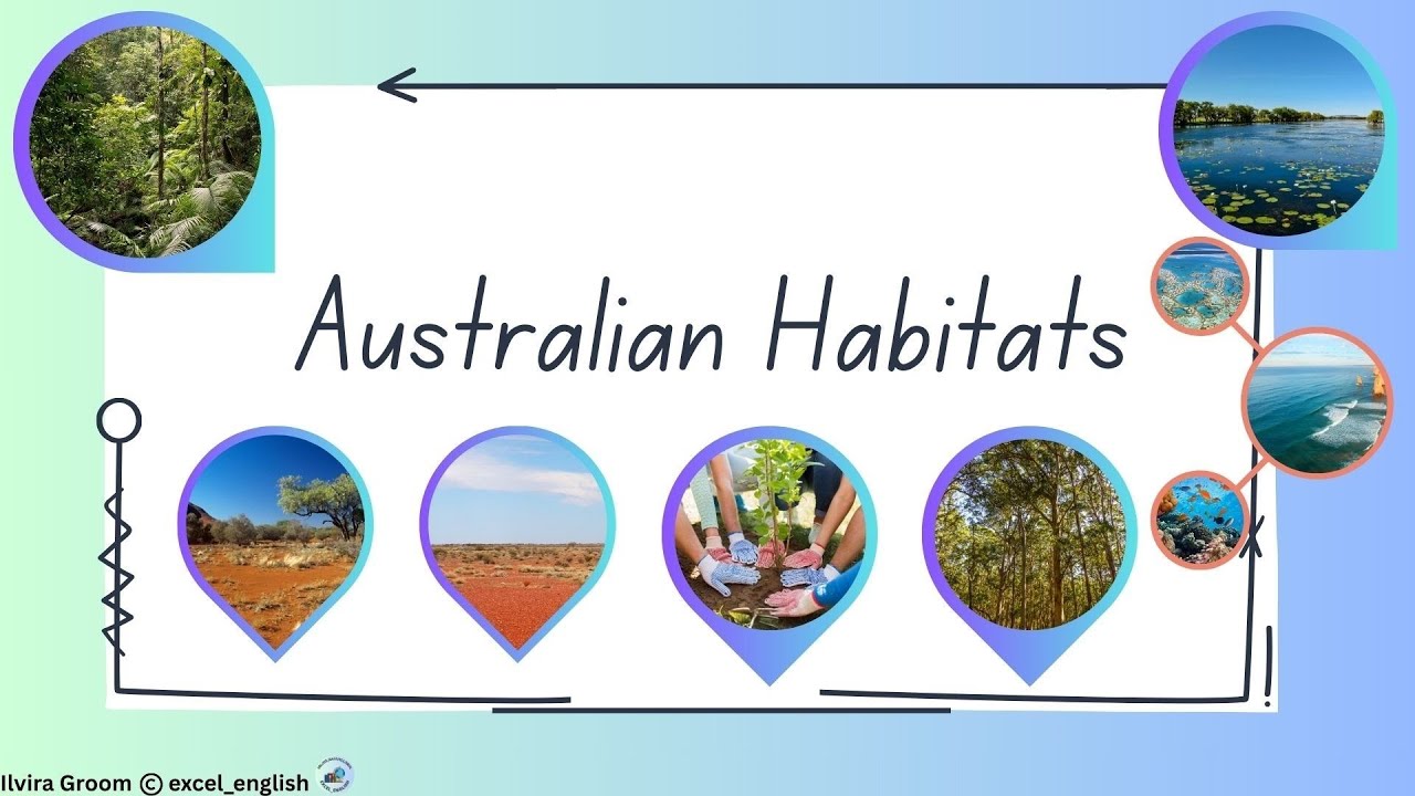 How to Teach Australian Habitats to Elementary ESL Learners