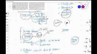 Uti Paediatrics 4 Fcps,Mrcpch,Mcps