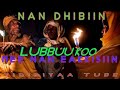 Faarfannaa Gaabbii Nan Dhibiin Lubbuu Koo F Taa Caalaa Tulii