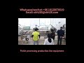 Pickle processing production line vegetable cutting machine vortex vegetable washing machine