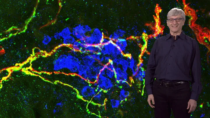 Dan Littman (NYU / HHMI) 1: Th17 Cells and Innate ...
