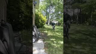 Mythical Bike Ride