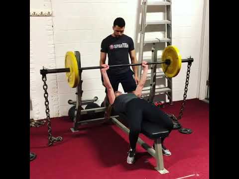 No Bull Training - ( Chains / Bench Press ) gymkhana