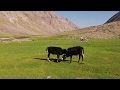 This is Paryan of Panjshir - The Most Peaceful Place in Afghanistan