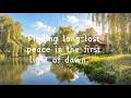 Clear the Mental Noise, Return to Inner Peace#healing #relaxation
