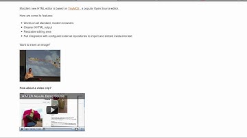 HTML editor in Moodle 2.0