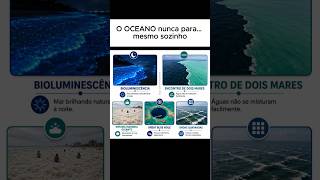 ONDAS QUADRADAS? #oceano #shorts #litoral #praia