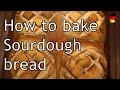 How to make a Sourdough bread