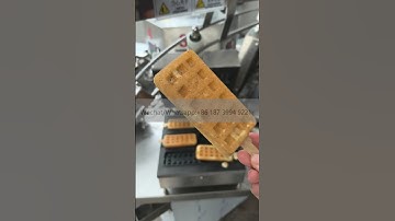 蛋卷机Automatic Ice Cream Cone Wafer Biscuit Machine Egg Roll Making Machine Wafer Stick Making Machine