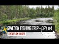 Trout fishing trip to Sweden day 4