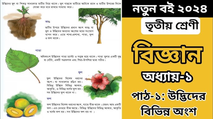 Onalar ustidan tuygu jinsiy video Klizma haqida porno videolar