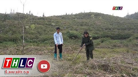 Bắc Hà tăng cường công tác phòng chống cháy rừng mùa hanh khô | THLC