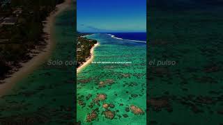 Despacito 🌴 Miami Vibes | Luis Fonsi, Daddy Yankee | YouTube Shorts #Despacito