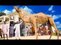 Camel Qurbani | 3rd Day Eid Ul Adha | Mubashir Saddique | Village Food Secrets