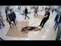 When Police Dogs Forget Their Job 🐕👮‍♀️