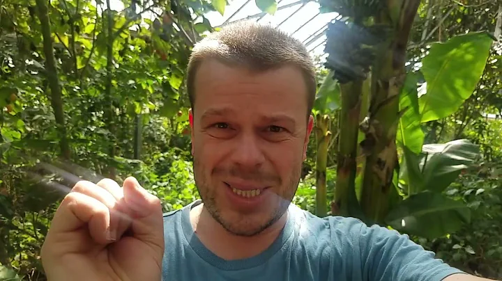 ALCOHOL & WASABI - DAVID BLUME REGENERATIVE FARMING