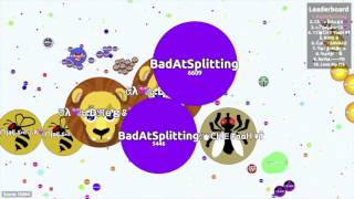 Agar.io Guest Video by Bacter.io - Dominating Solo in Party Mode